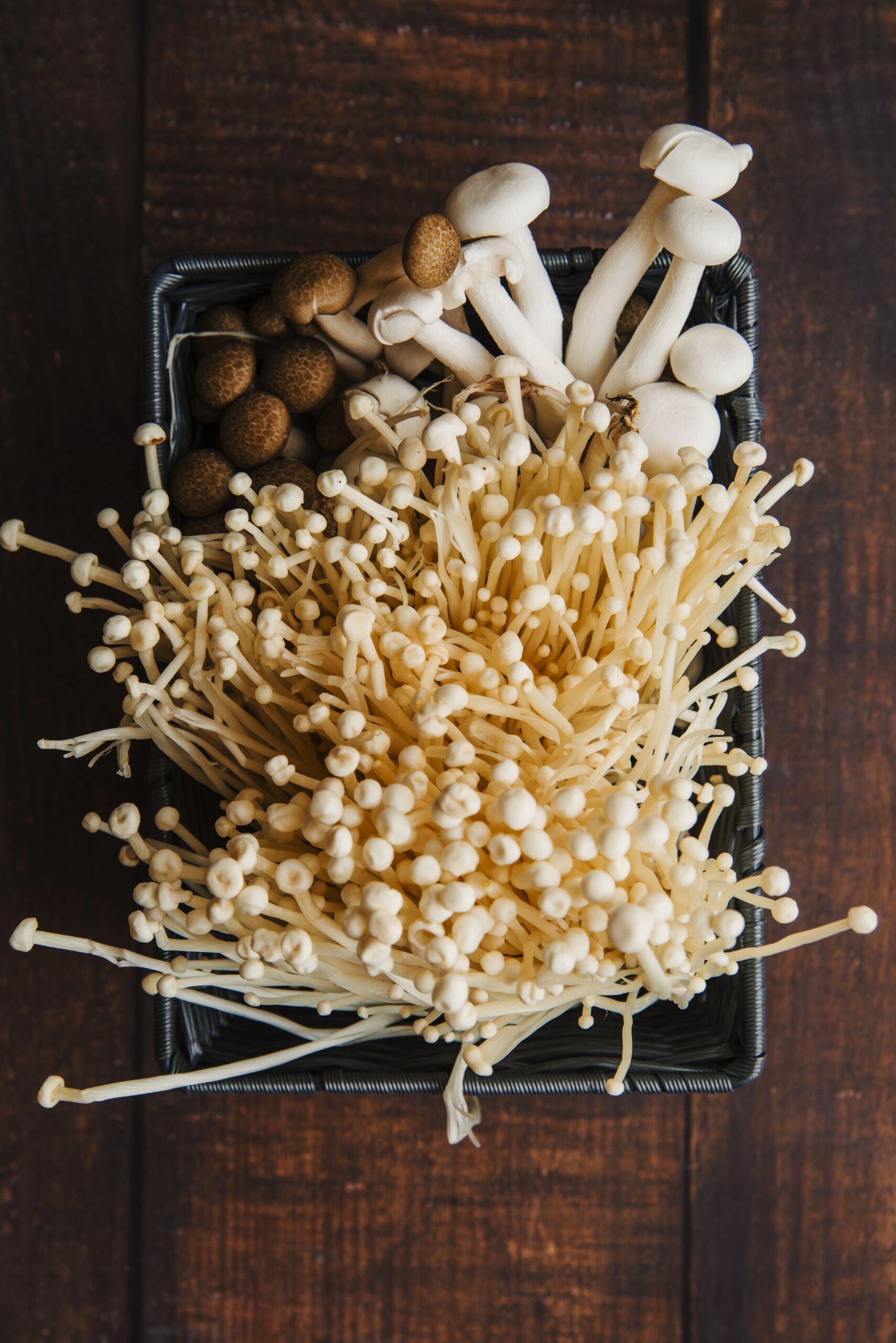 Are Magic Mushroom Spores Legal? in Different Countries?