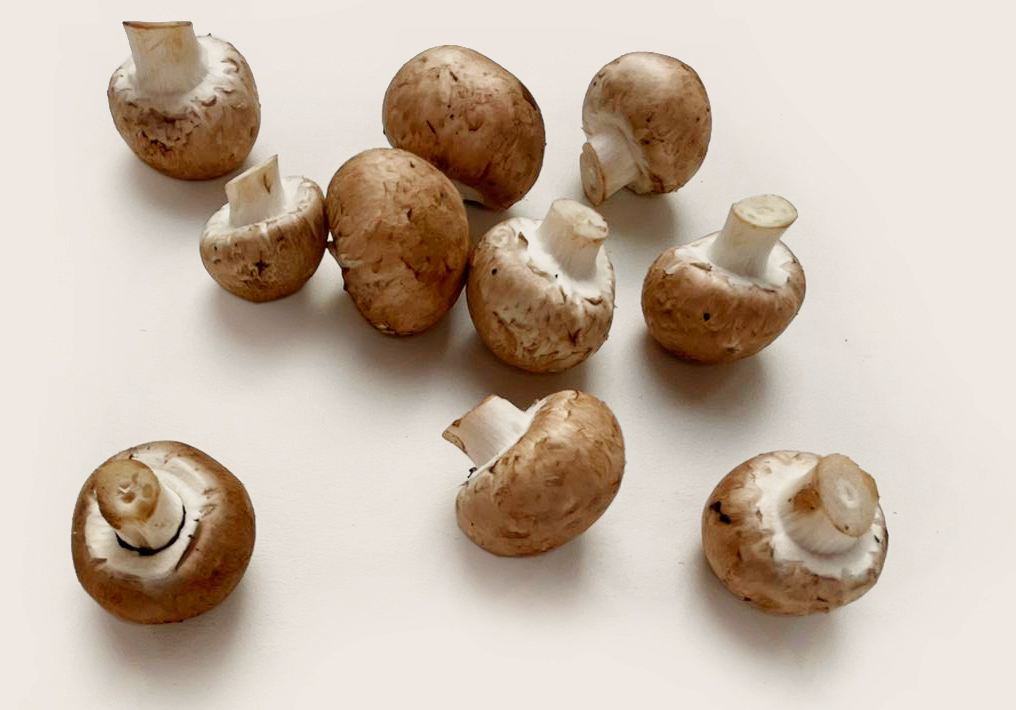 Beyond the Button: Exploring Mushrooms Like Never Before