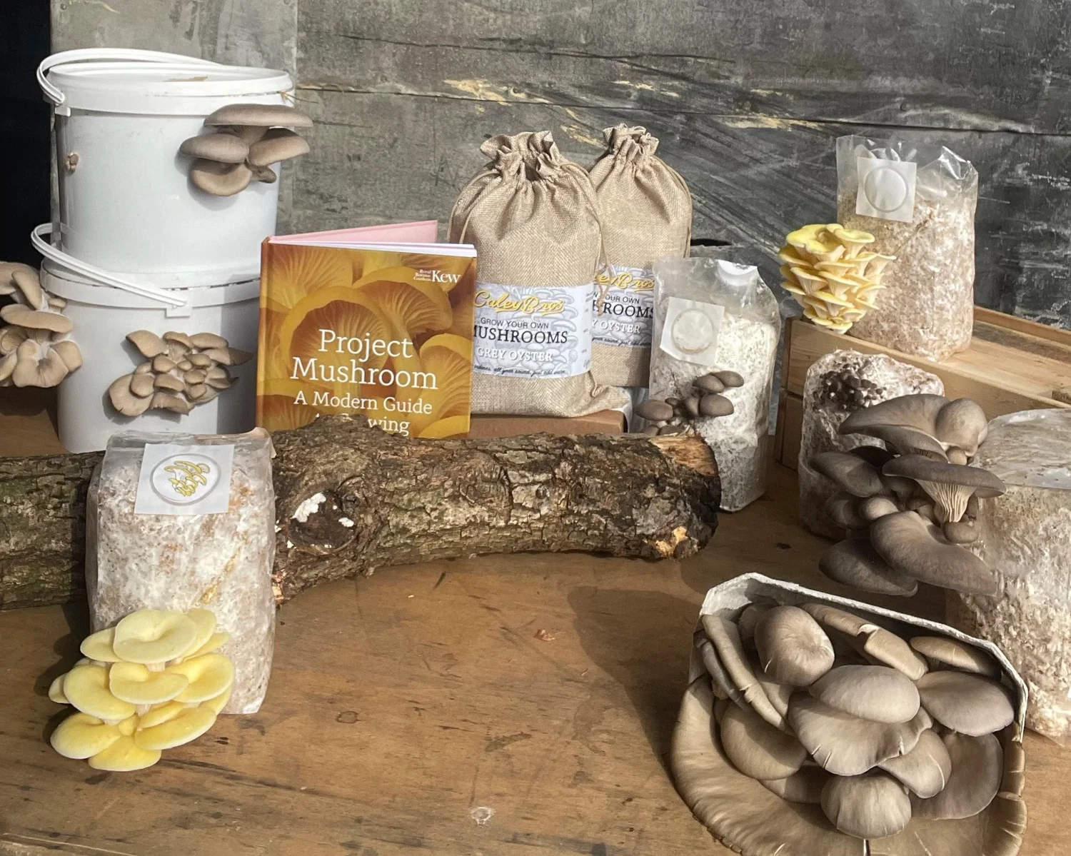 Alright, here’s the deal with storing your kits, spawn, or whatever funky gift you snagged from us: